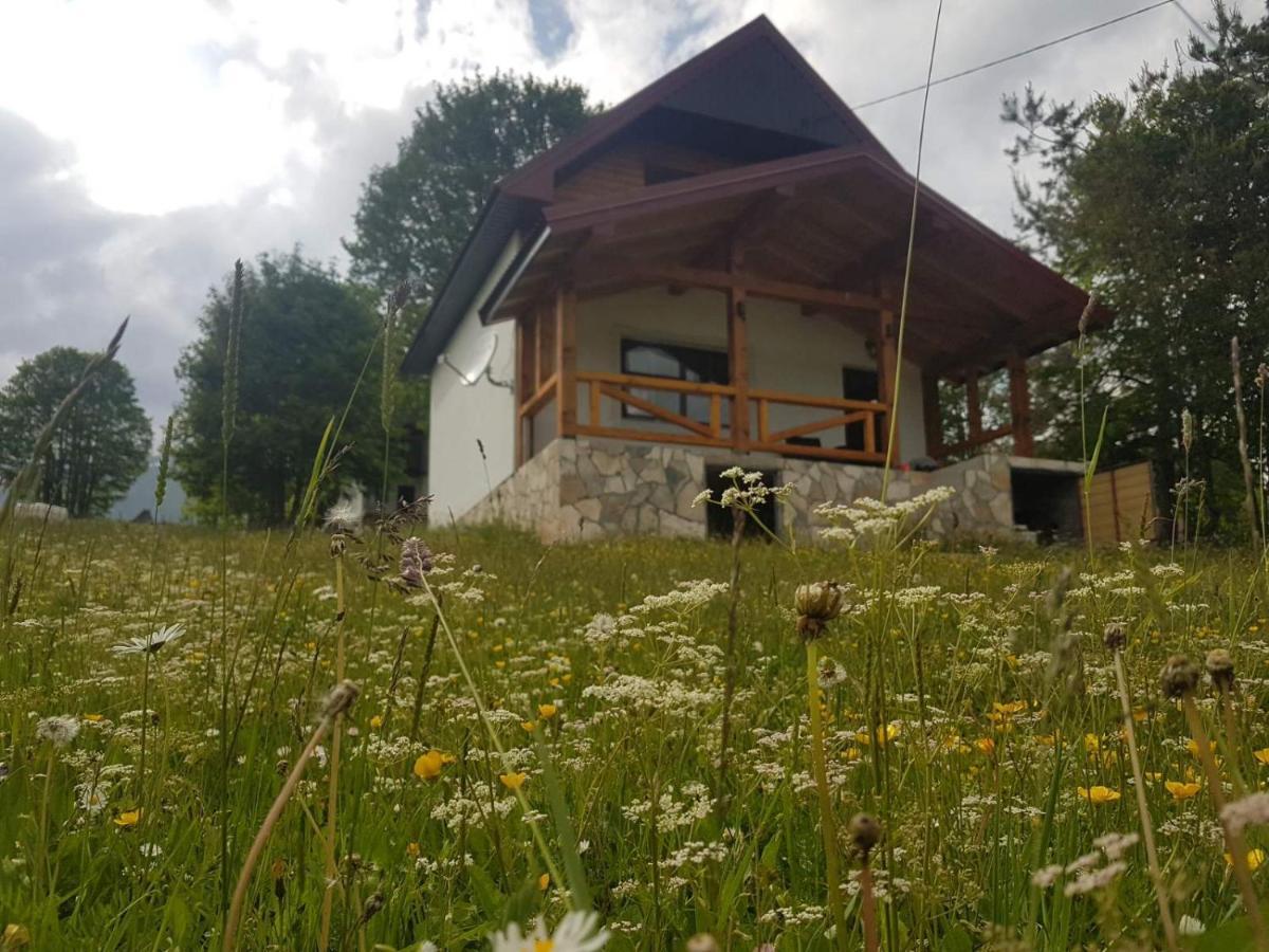 Eco Village Highlander Žabljak エクステリア 写真